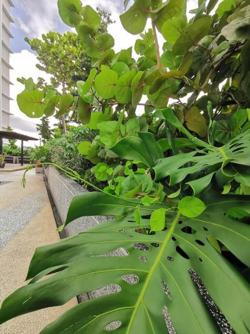 0805 The Platino Paradigm Mall Netflix Balcony By Stay Johor Bahru Exterior foto